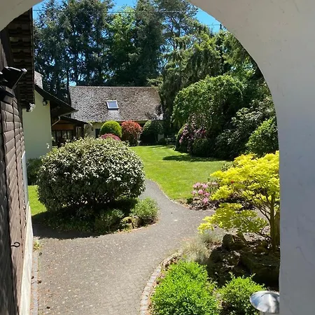 Urlaub An Der Baybachklamm *