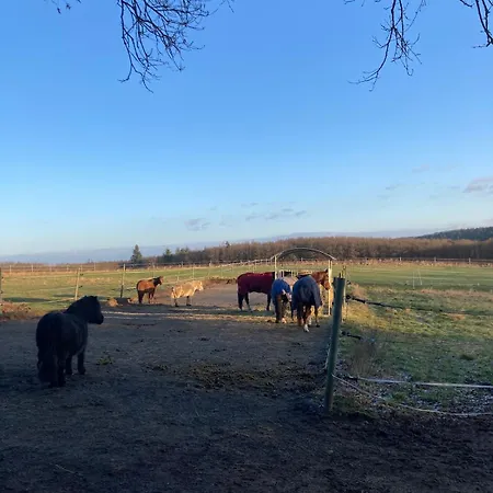 Appartement Urlaub An Der Baybachklamm