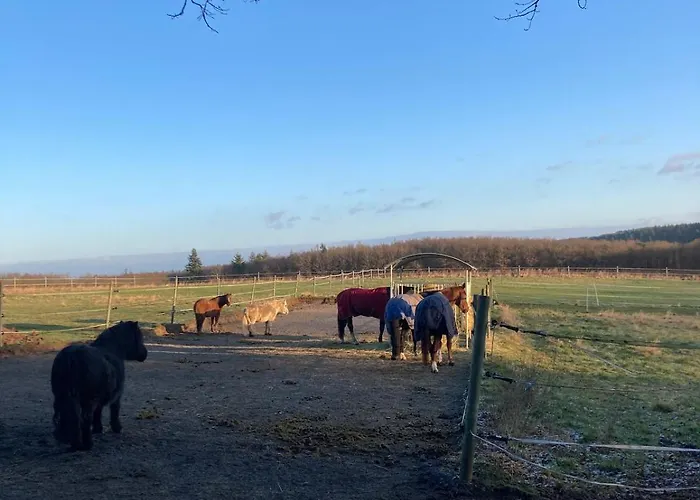 Apartment Urlaub An Der Baybachklamm