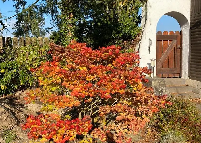 Apartment Urlaub An Der Baybachklamm Dommershausen