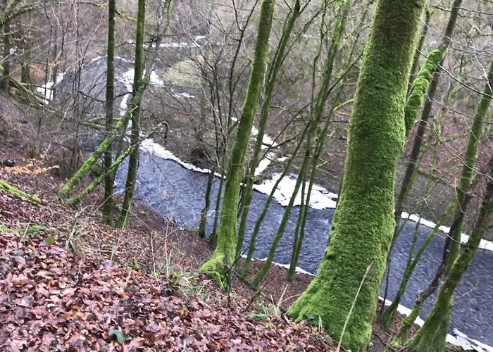 Urlaub An Der Baybachklamm Dommershausen